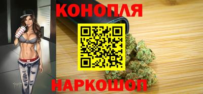 прущие грибы Бердск