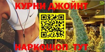 прущие грибы Бердск