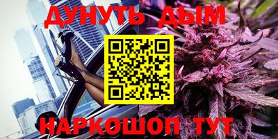 прущие грибы Бердск