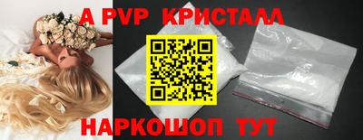 прущие грибы Бердск