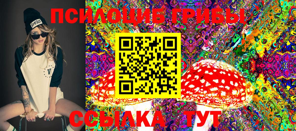 Галлюциногенные грибы GOLDEN TEACHER Зеленокумск