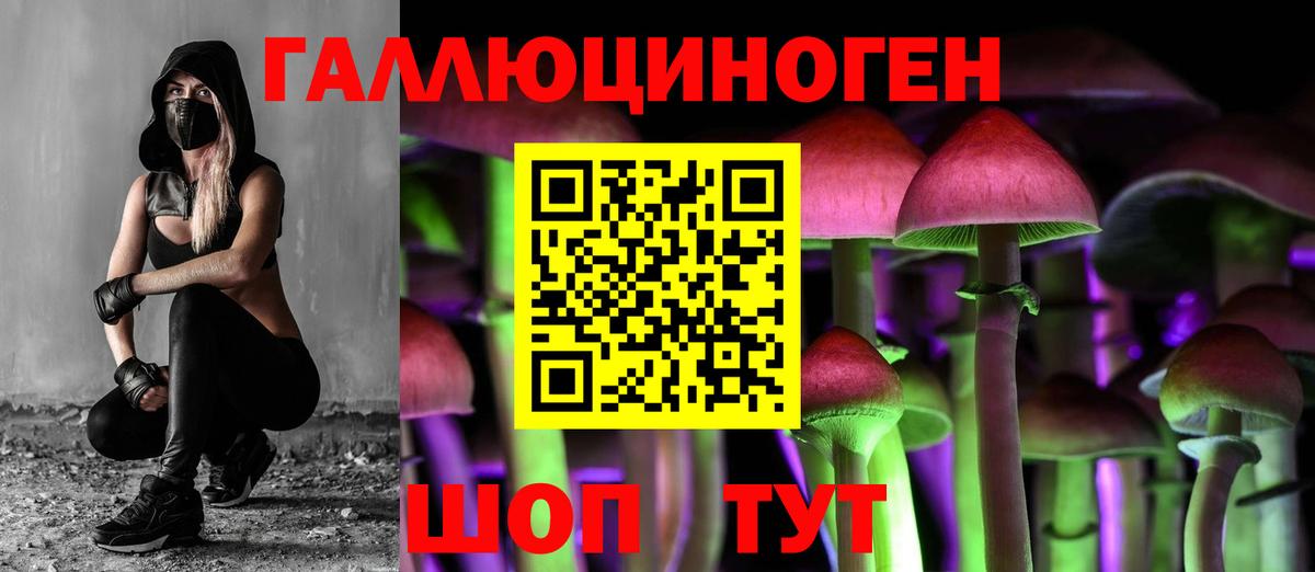 Зеленокумск  Псилоцибиновые грибы MAGIC MUSHROOMS  Вход с VPN  Галлюциногенные грибы прущие грибы 